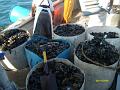 Imagen 054
